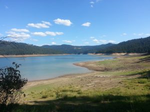 Dworshak State Park