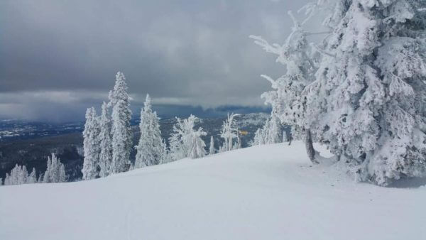 top-of-brundage-march-14-2016