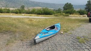 pine beetle kill near Ring Lake - Dubois Wyoming