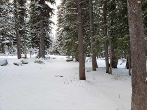 anthony lake oregon