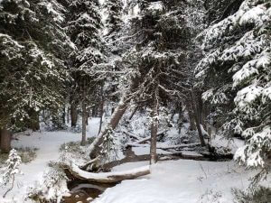 anthony lake hike