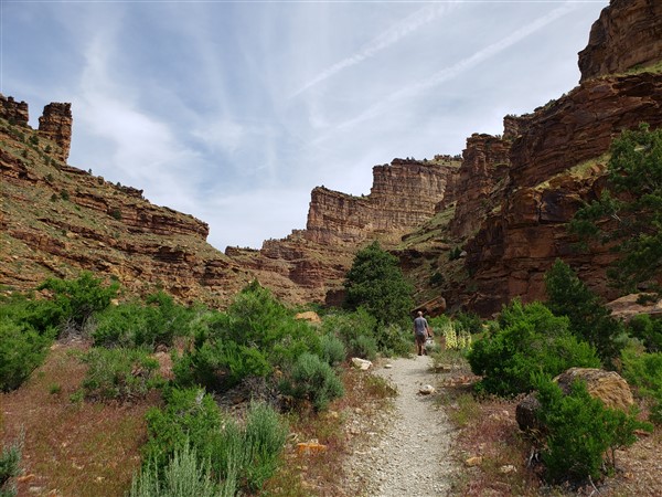 Daddy Canyon within Nine Mile Canyon