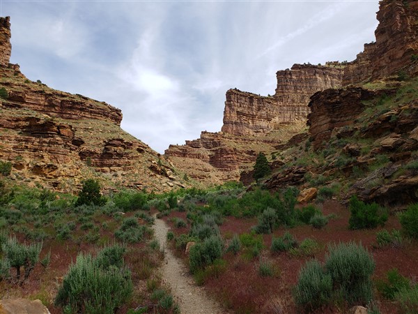 daddy canyon in nine mile canyon