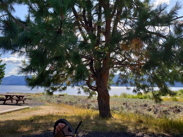 RV Camping in Sugarloaf Unit in Lake Cascade State Park