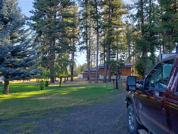 Nice tree shade at my Boondockers Welcome RV campsite in McCall Idaho